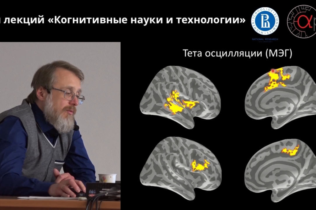 Иллюстрация к новости: Видео лекции зав. лаб. когнитивной психофизиологии Б.В. Чернышева "Как мозг управляет поведением: от врожденного поведения до когнитивного контроля"