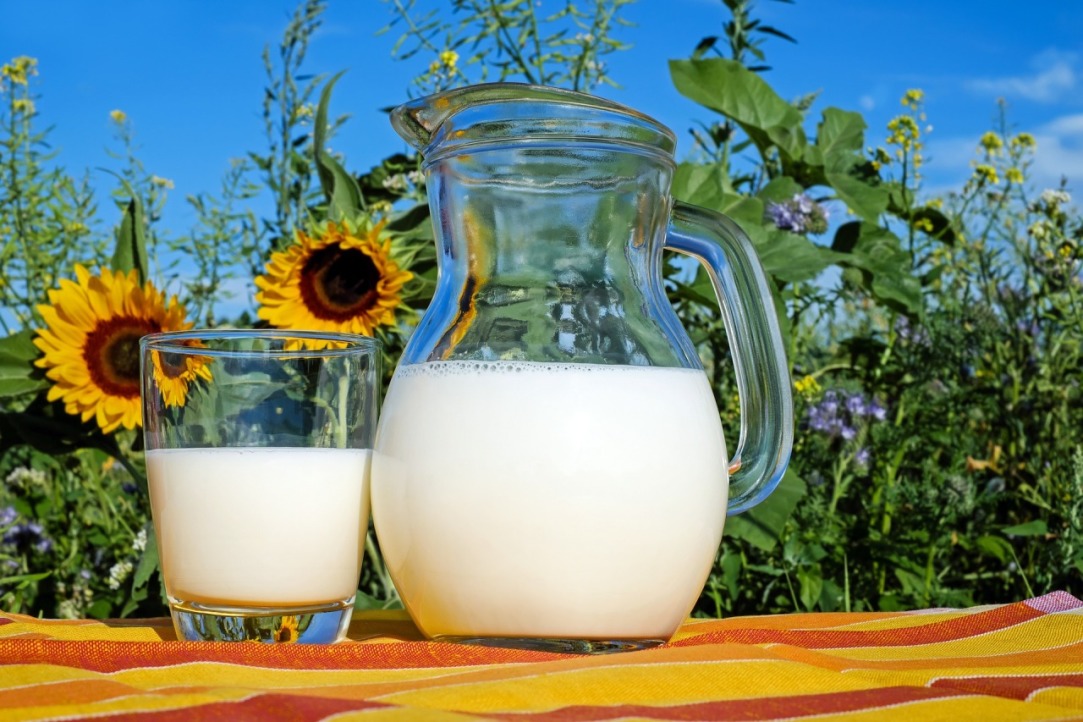 В защиту молока: создание культуры потребления молочных продуктов