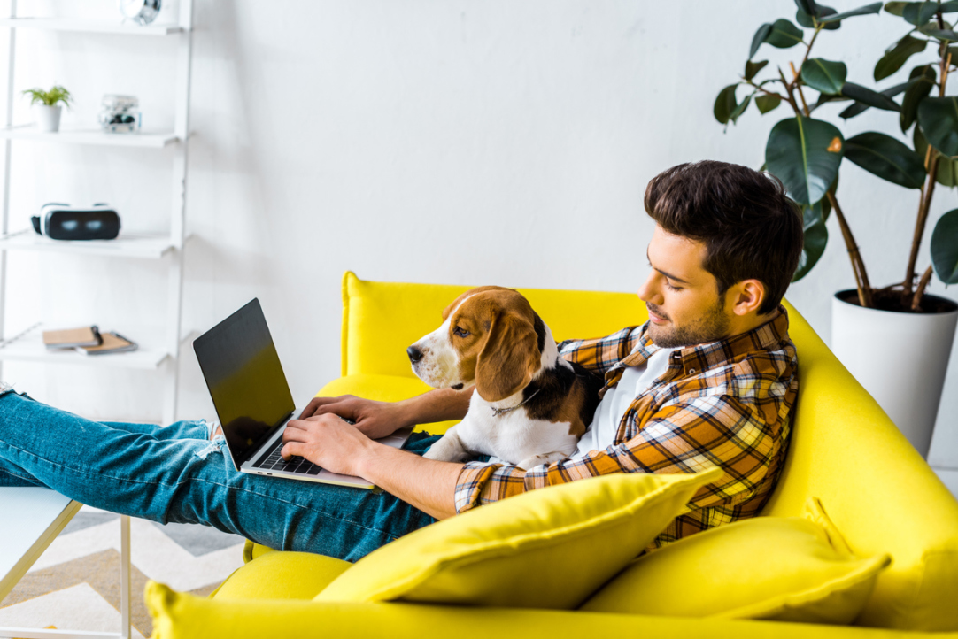 The Kings of Remote Work: HSE Experts Dispel Myths and Stereotypes about Freelancers
