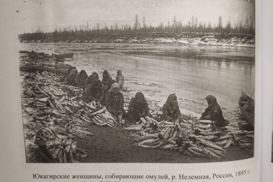 Иллюстрация к новости: Путевые заметки В.И. Иохельсона об инородцах Якутской области