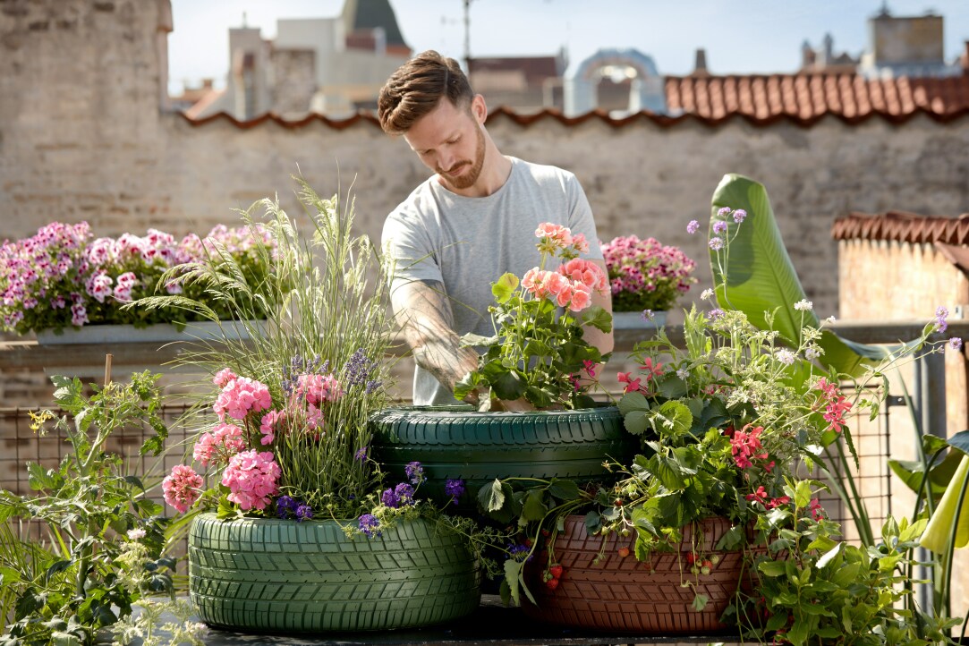 Садовая терапия и счастье городских жителей – новый эпизод нашего подкаста!